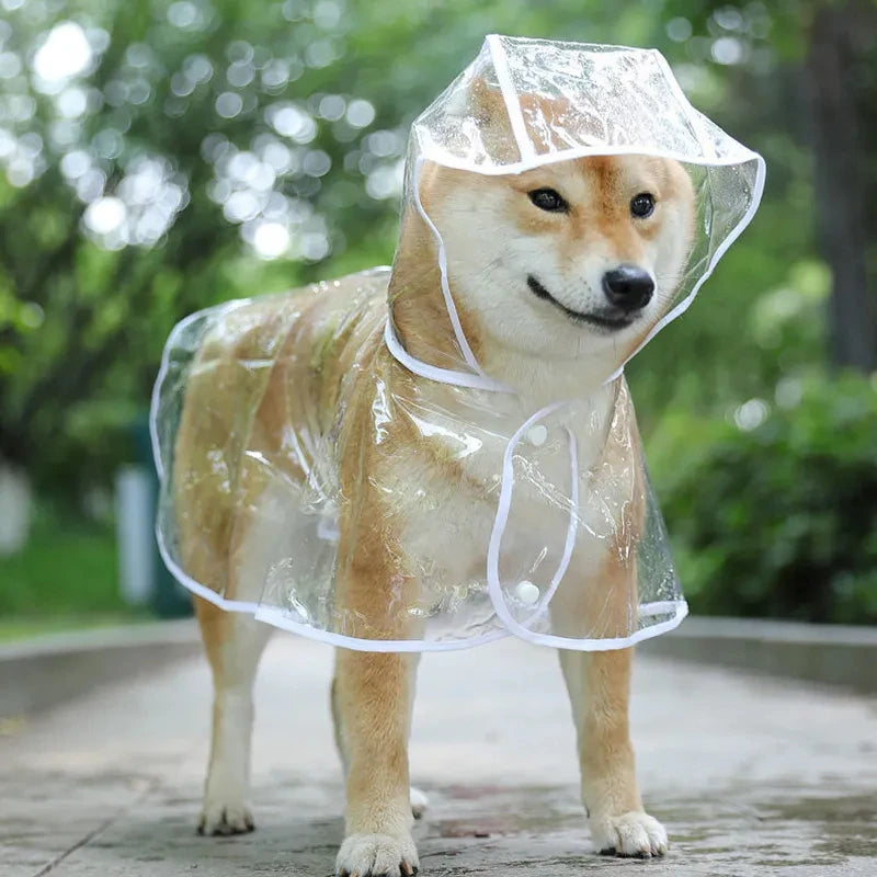 Dog Transparent Rainwear Raincoat