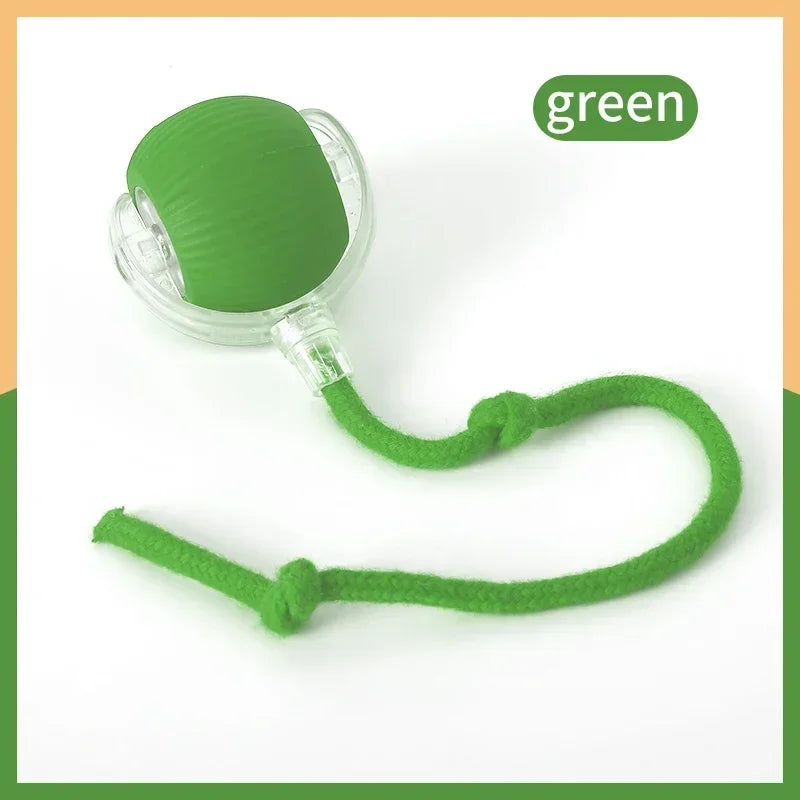 Interactive Automatic Ball Toy