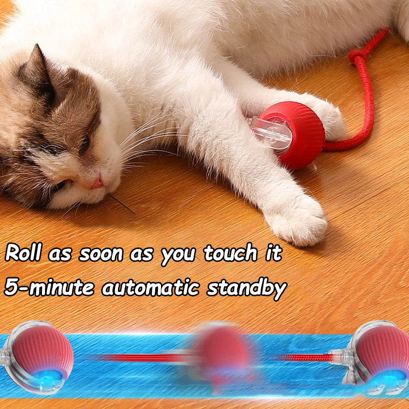 Interactive Automatic Ball Toy