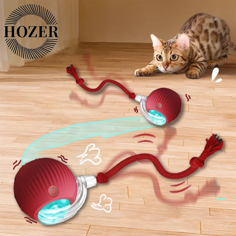 Interactive Automatic Ball Toy