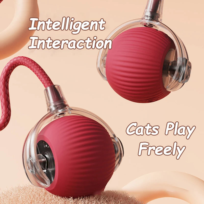 Interactive Automatic Ball Toy
