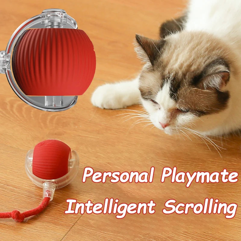 Interactive Automatic Ball Toy