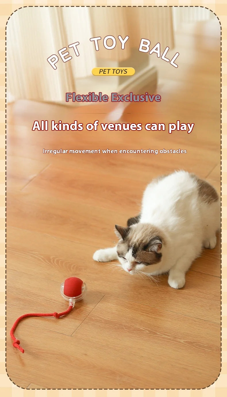 Interactive Automatic Ball Toy