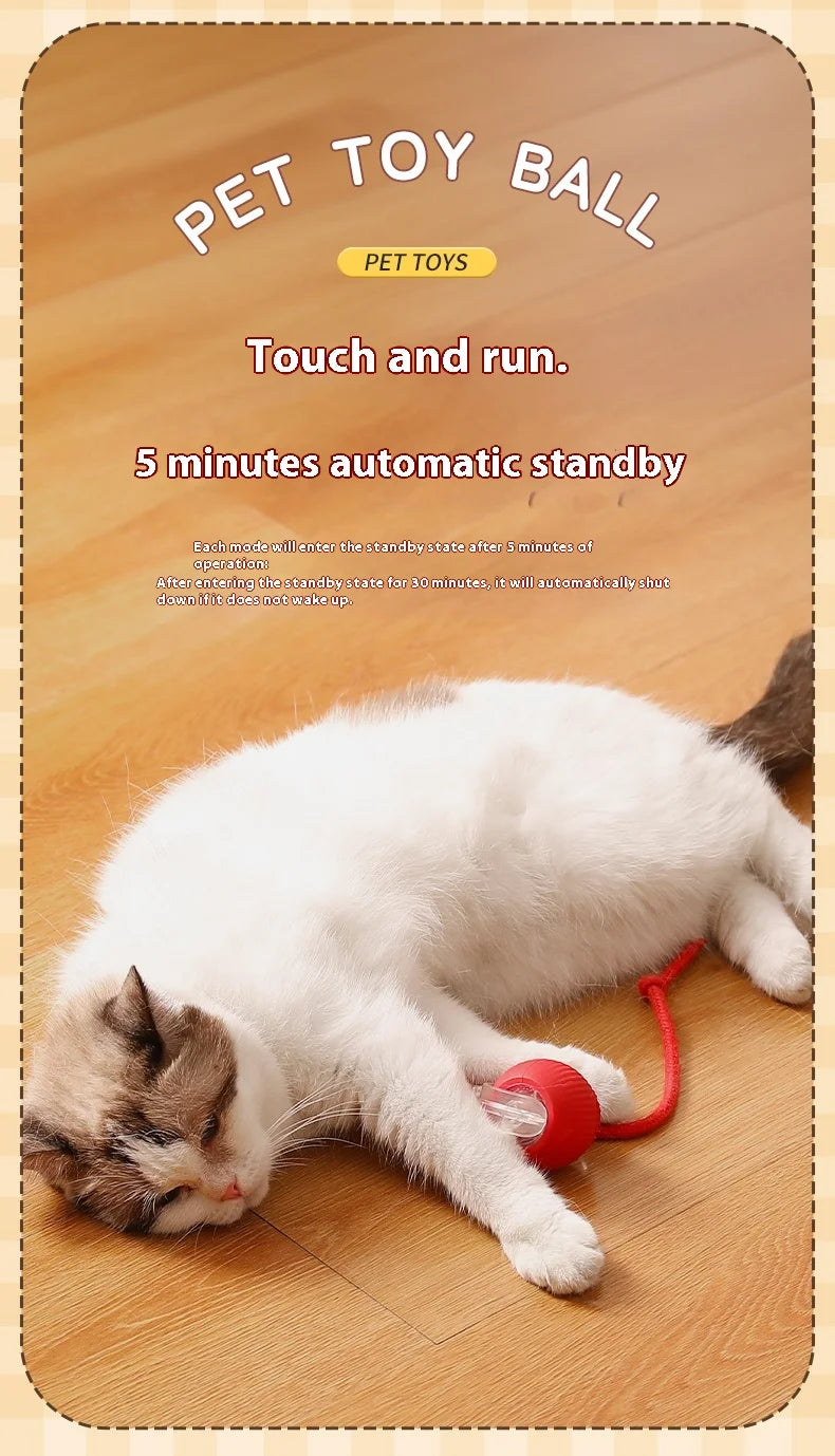 Interactive Automatic Ball Toy