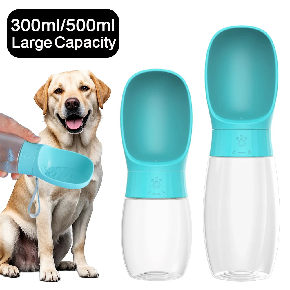 Portable Water Bottle