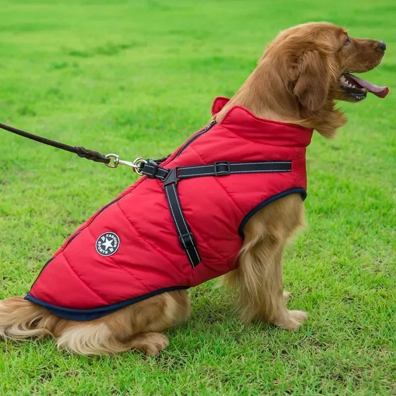 Dog Jacket With Harness