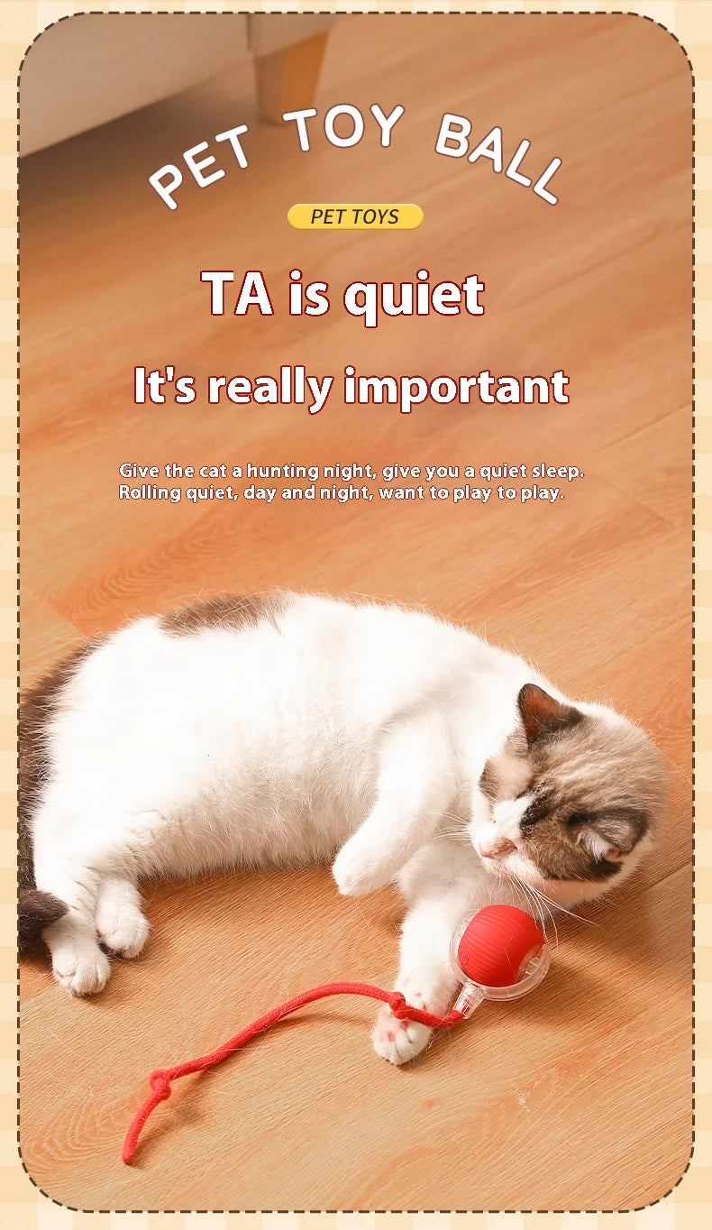Interactive Automatic Ball Toy
