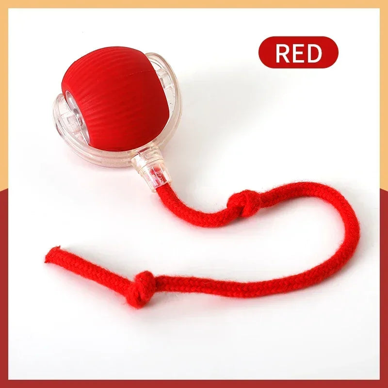 Interactive Automatic Ball Toy