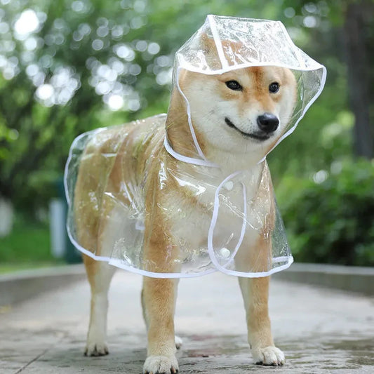 Dog Transparent Rainwear Raincoat
