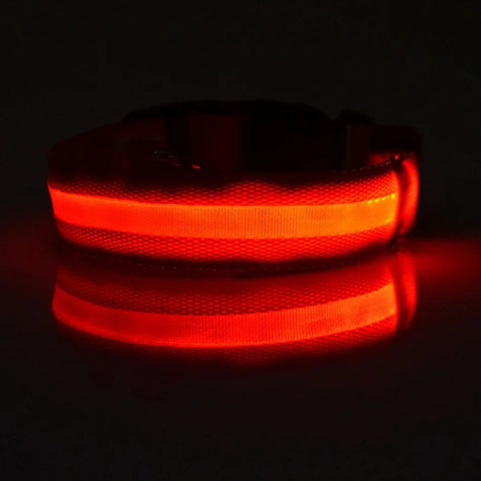 LED Glow In The Dark Dog Leash