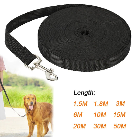 Dog Leash