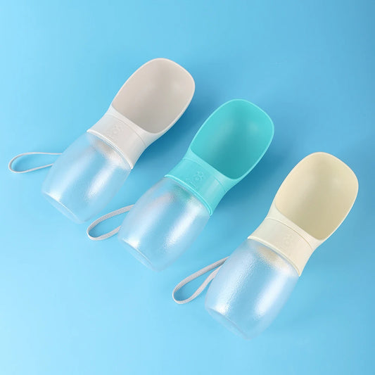 Portable Water Bottle