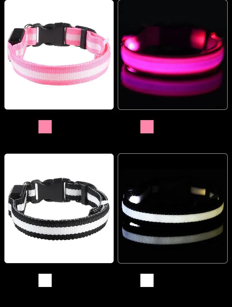 LED Glow In The Dark Dog Leash