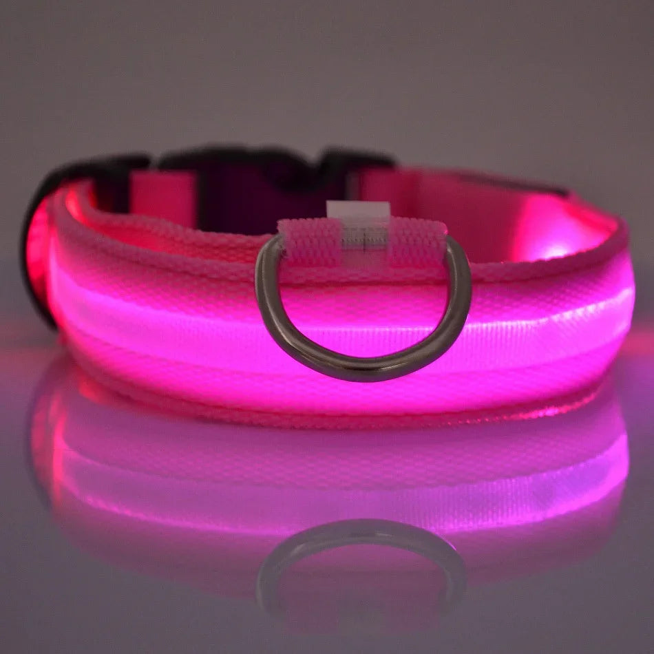 LED Glow In The Dark Dog Leash