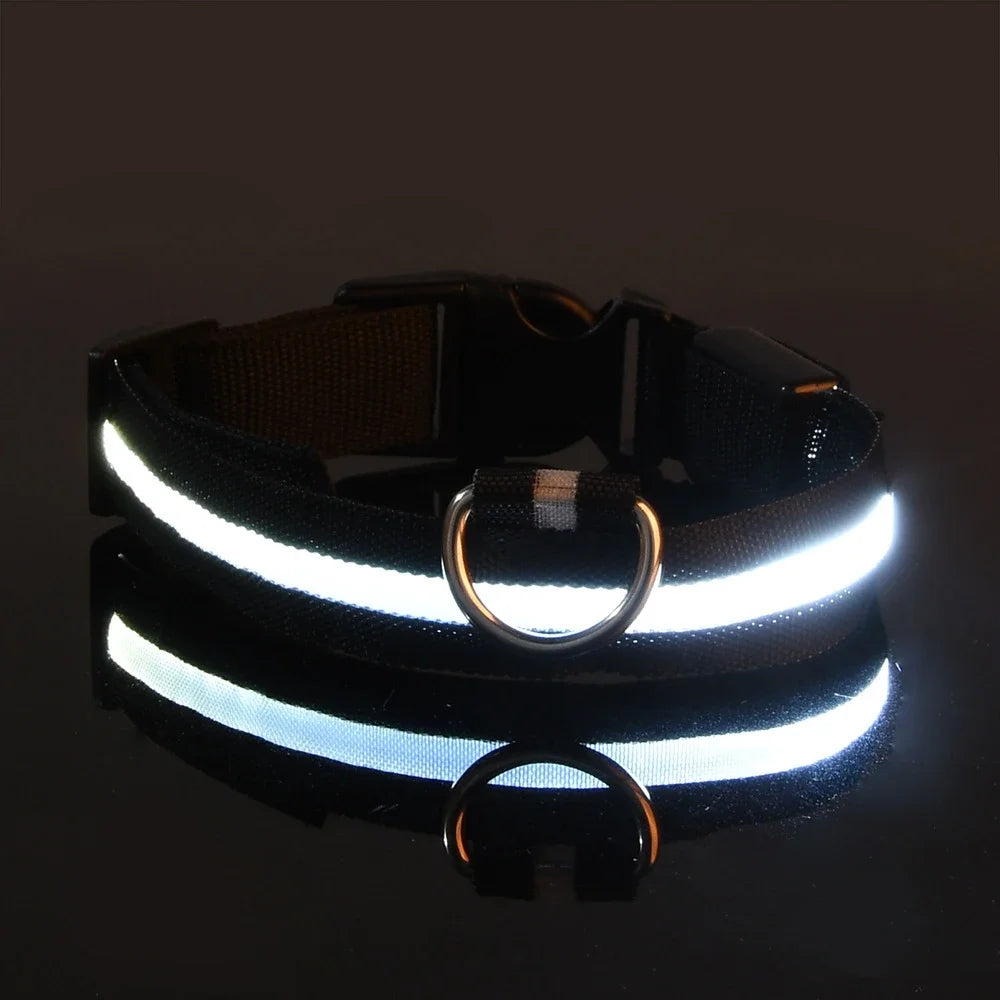 LED Glow In The Dark Dog Leash