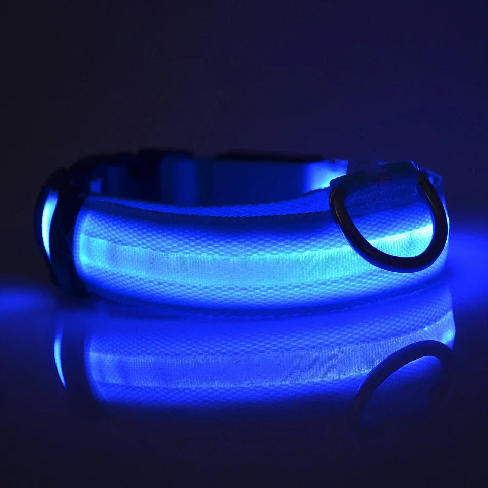 LED Glow In The Dark Dog Leash