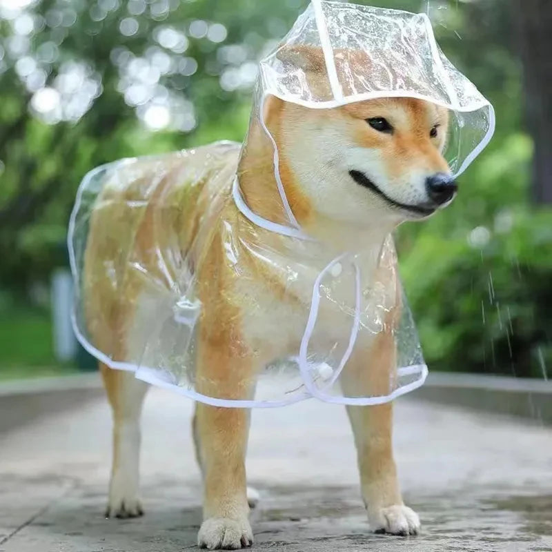 Dog Transparent Rainwear Raincoat