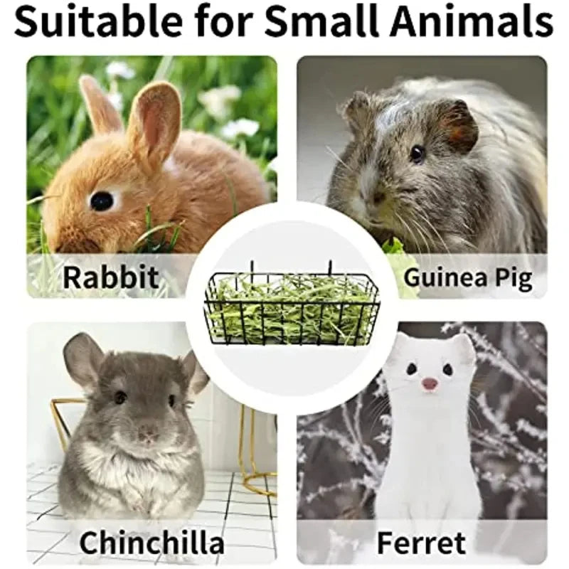 Rabbit Food Basket