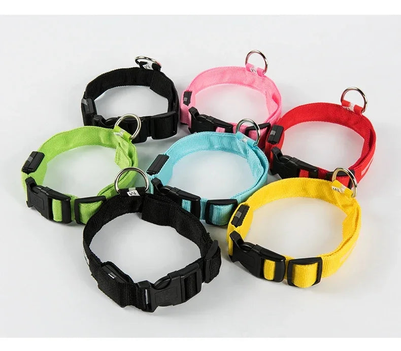 LED Glow In The Dark Dog Leash