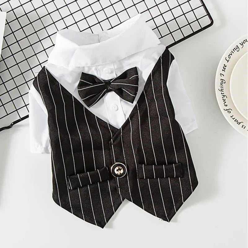 Party Suit!
