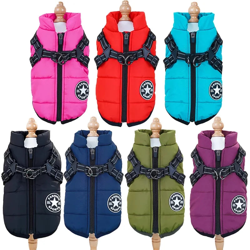 Dog Jacket With Harness
