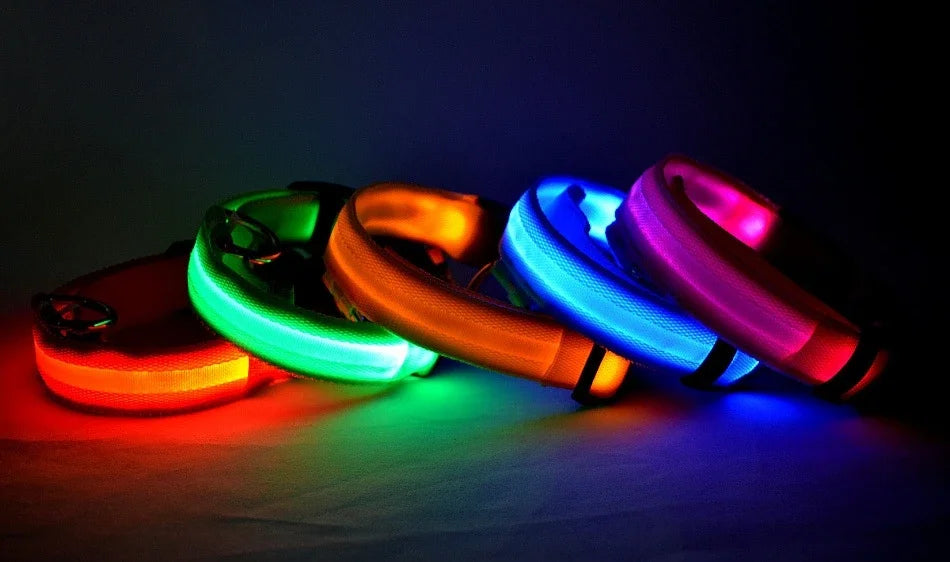 LED Glow In The Dark Dog Leash