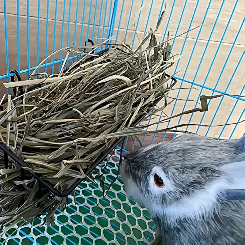 Rabbit Food Basket