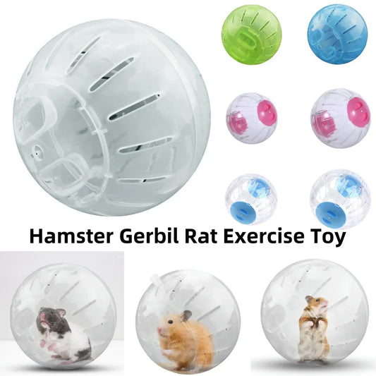 Hamster Exercise Ball