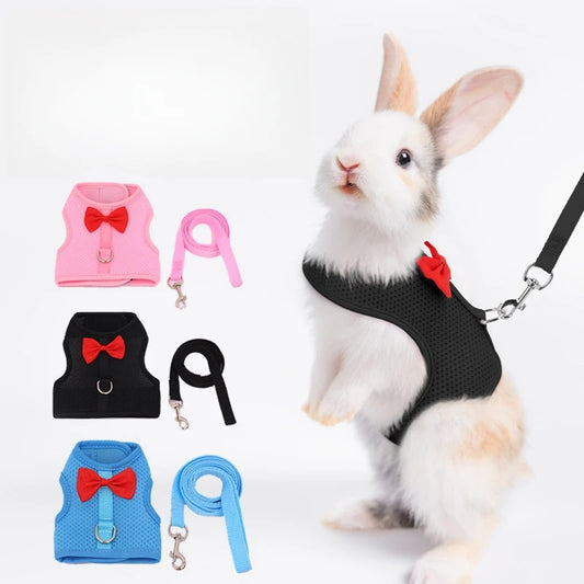 Rabbit Mesh Harness