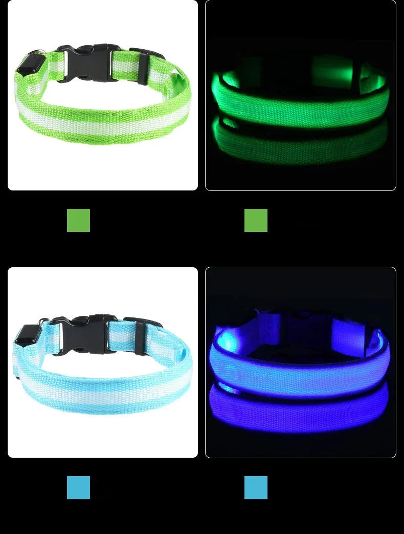 LED Glow In The Dark Dog Leash