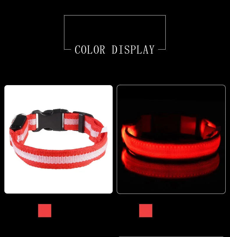 LED Glow In The Dark Dog Leash