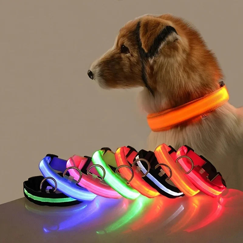 LED Glow In The Dark Dog Leash