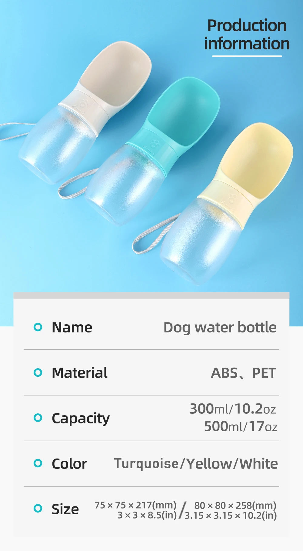 Portable Water Bottle