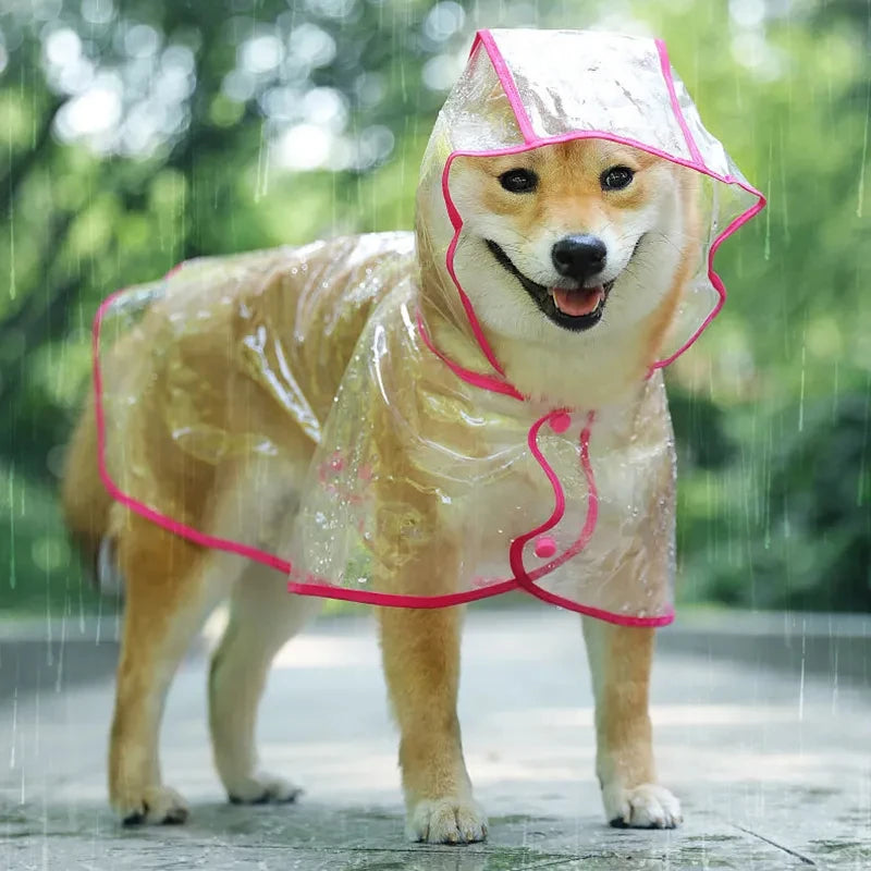 Dog Transparent Rainwear Raincoat