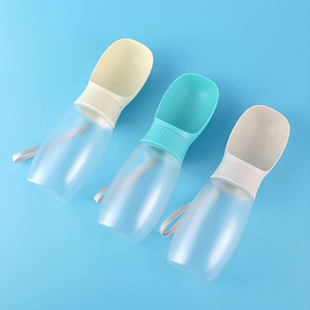 Portable Water Bottle