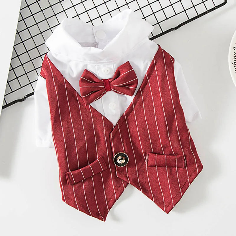 Party Suit!