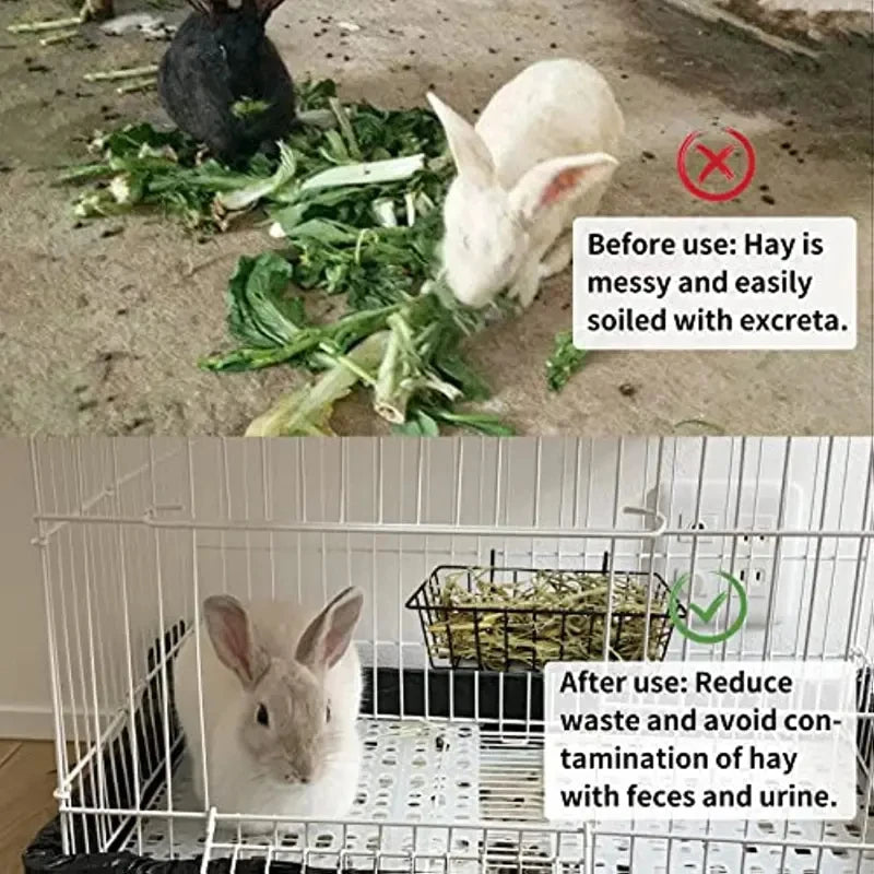 Rabbit Food Basket