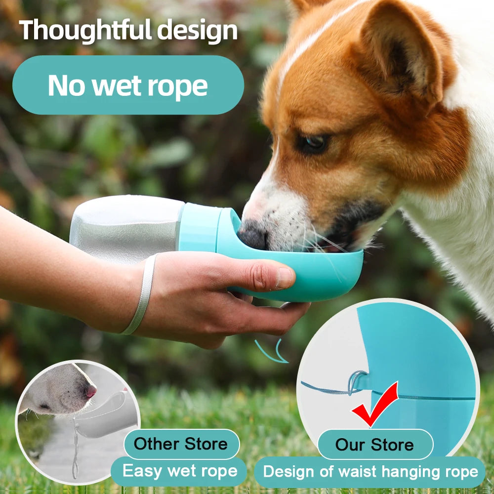 Portable Water Bottle