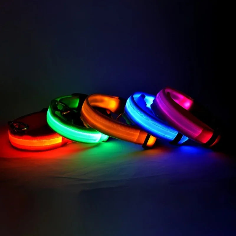 LED Glow In The Dark Dog Leash