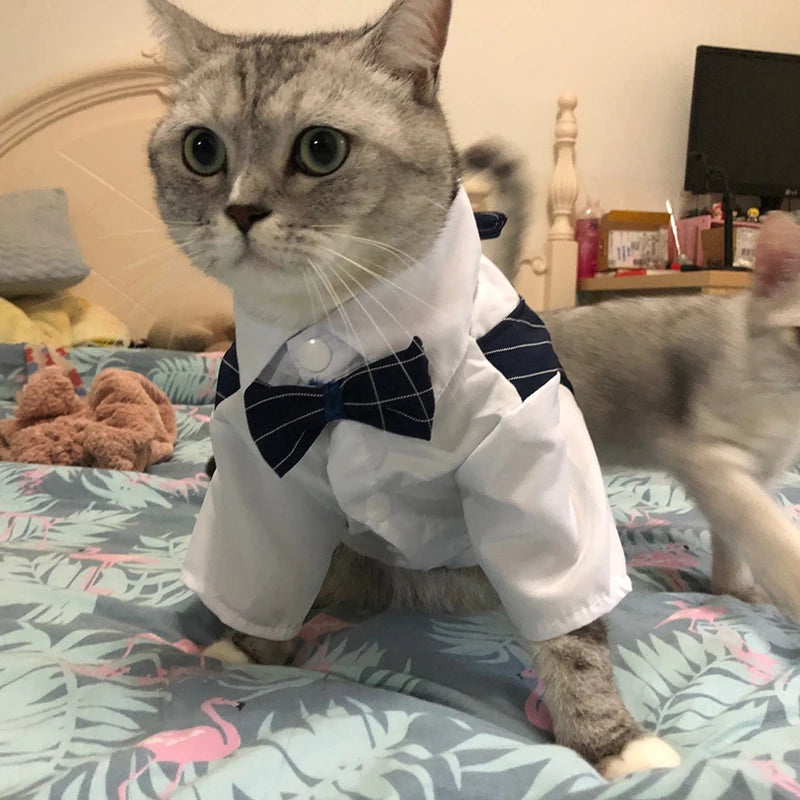 Party Suit!