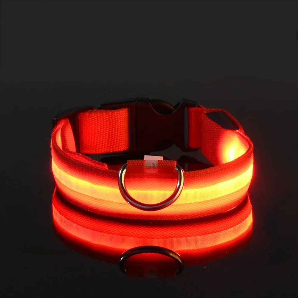 LED Glow In The Dark Dog Leash