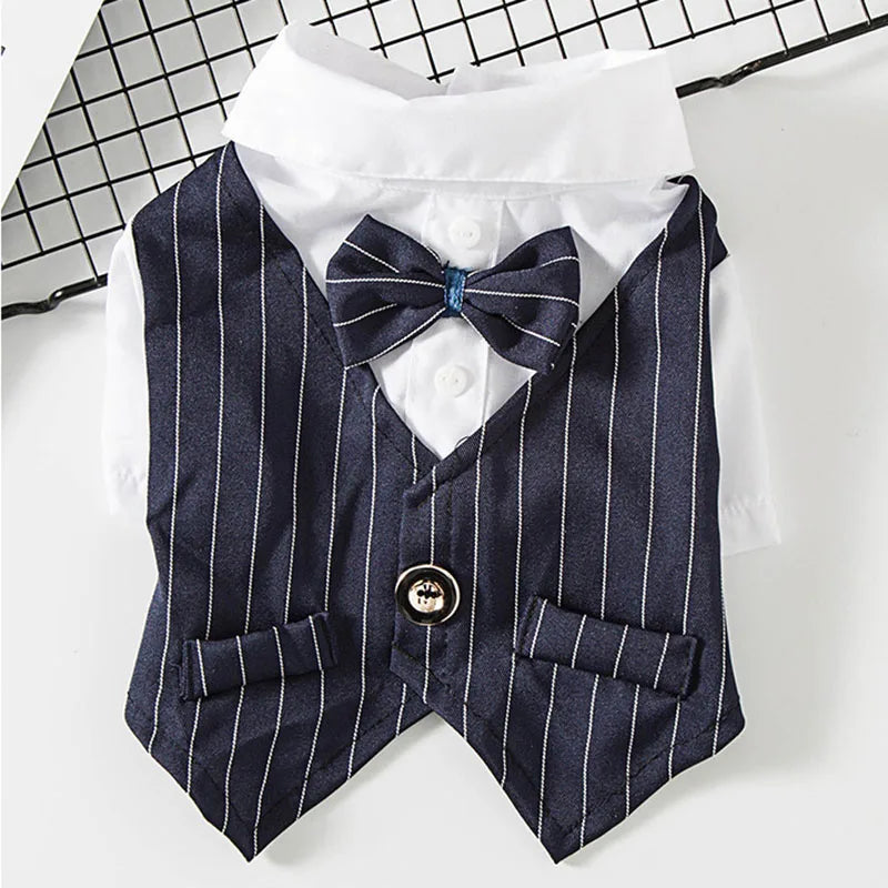 Party Suit!