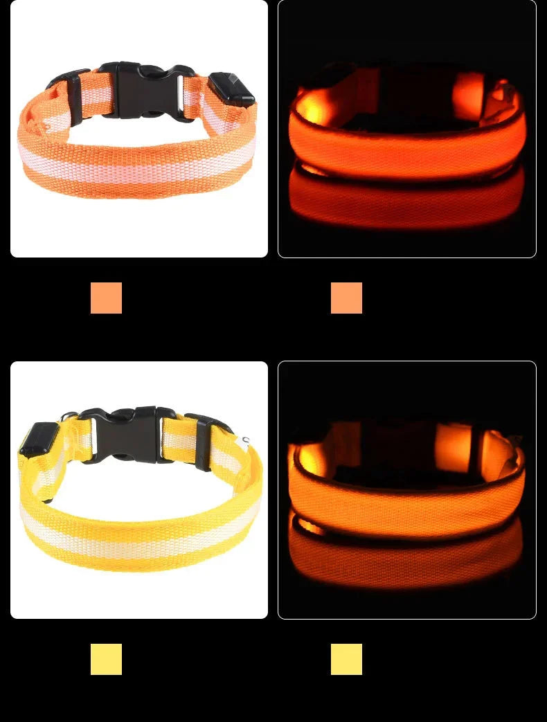 LED Glow In The Dark Dog Leash