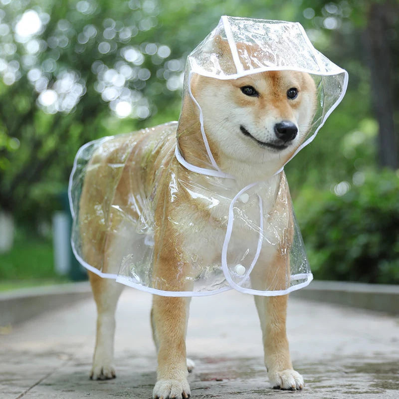 Dog Transparent Rainwear Raincoat