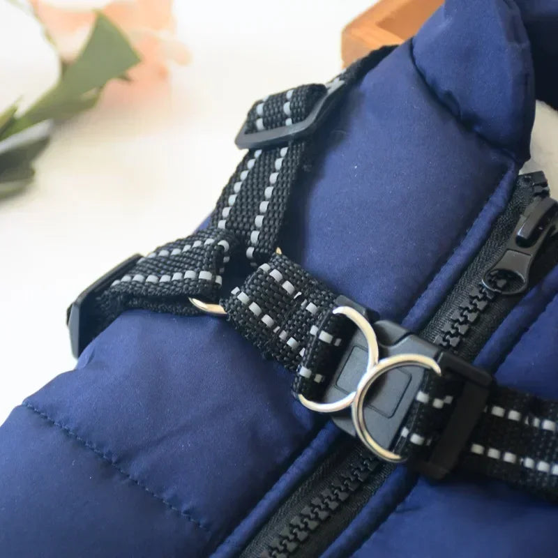 Dog Jacket With Harness
