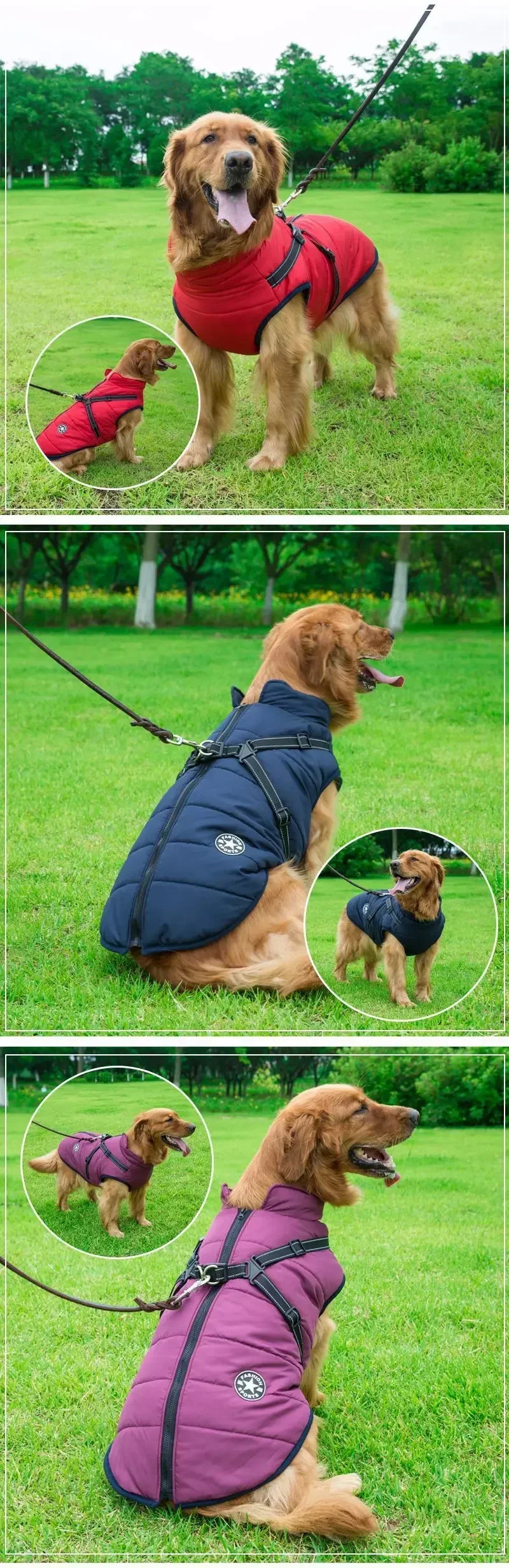 Dog Jacket With Harness