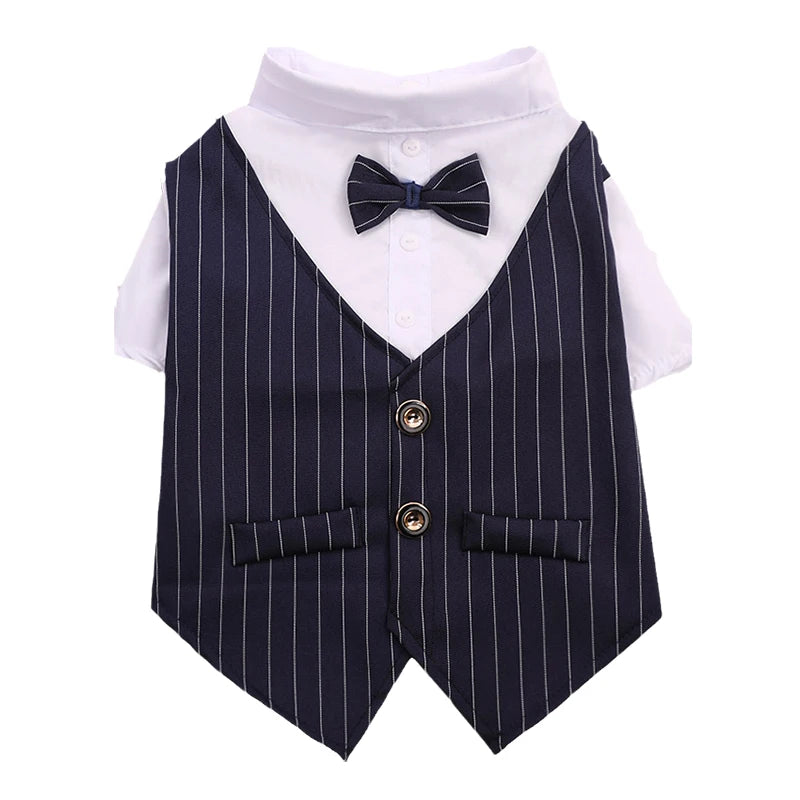 Party Suit!