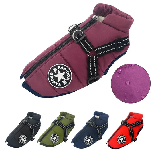 Dog Jacket With Harness