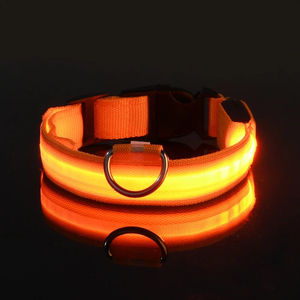 LED Glow In The Dark Dog Leash